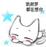 孜然羊肉